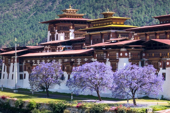  Bhutan tháng 4 là lúc tiết trời vào độ đẹp nhất